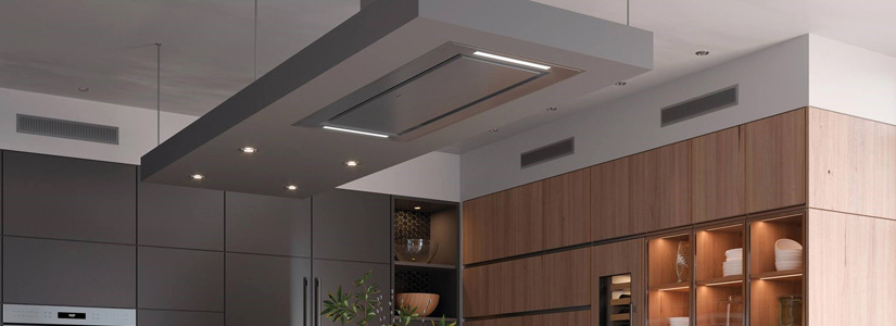 Wolf SubZero Ceiling Mounted Ventilation